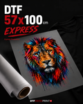 DTF Transfer Bogen 57 × 100 cm Express von dtfswissprint