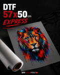 DTF Transfer Bogen 57 × 50 cm Express von dtfswissprint