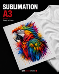 Bedruckter Sublimationstransfer A3 29,7 × 42 cm