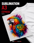 Bedruckter Sublimationstransfer Express  A3 29,7 × 42 cm